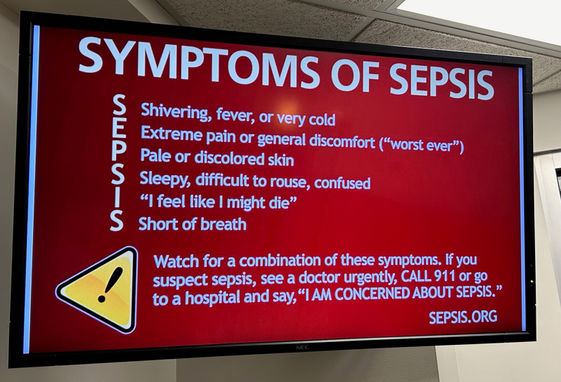 Life-changing year, symptoms of sepsis see sepsis.org